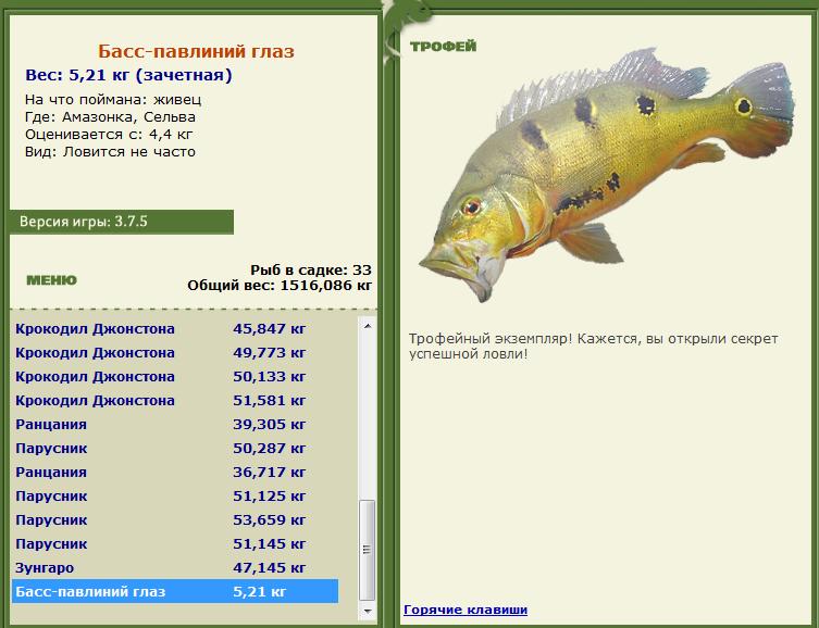 Живец 