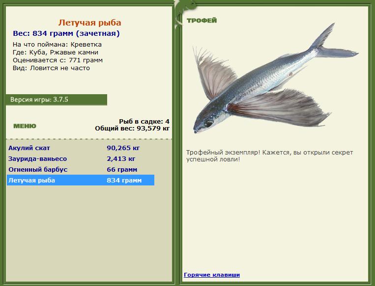 Креветка 