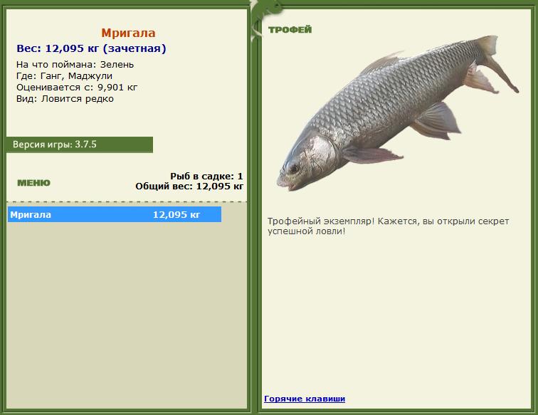 Зелень 