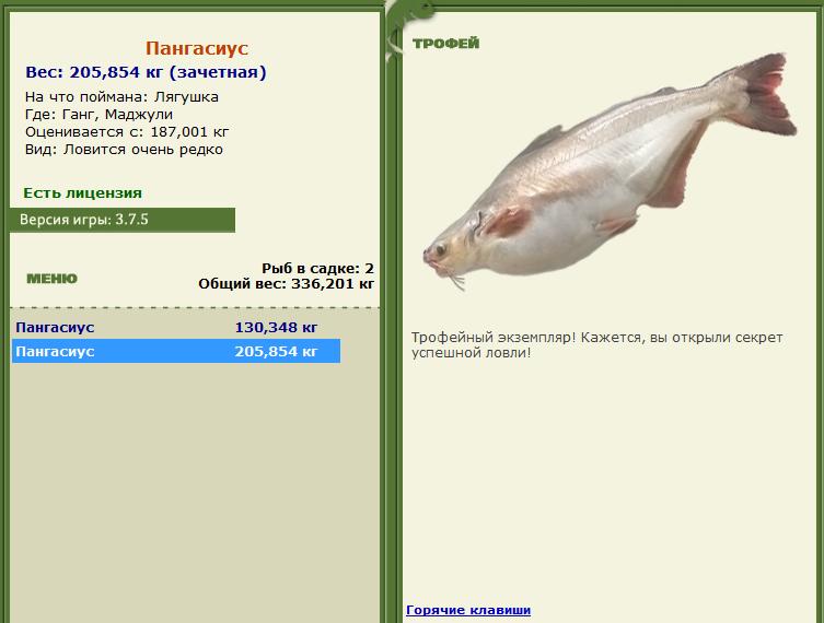 Лягушка 