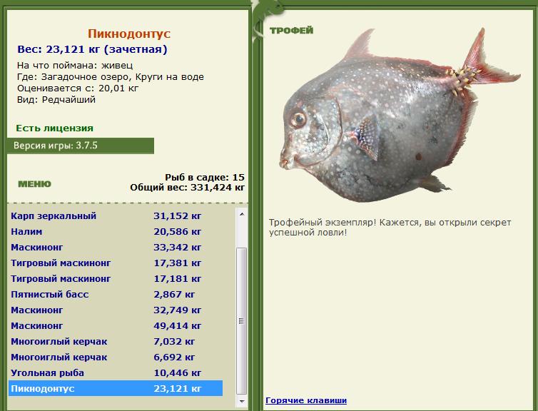Живец 