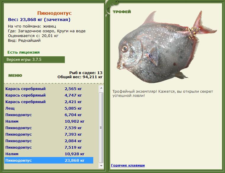 Живец 