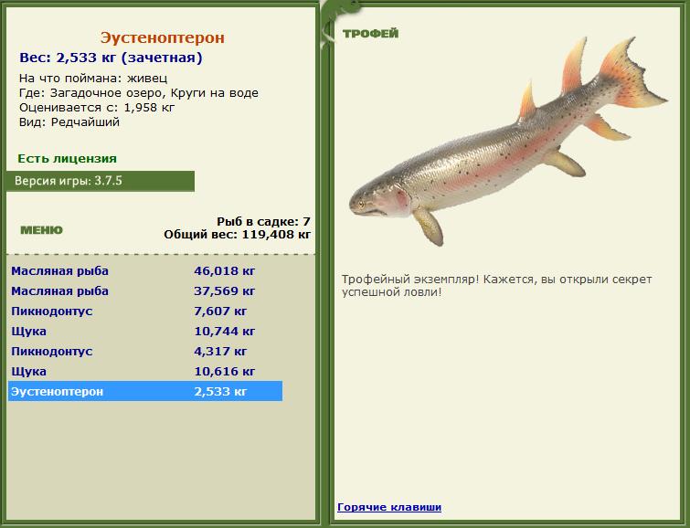 Живец 