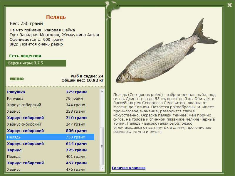 РУССКАЯ РЫБАЛКА Installsoft Edition 