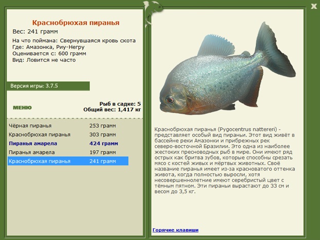 Негру • Амазонка • РУССКАЯ РЫБАЛКА