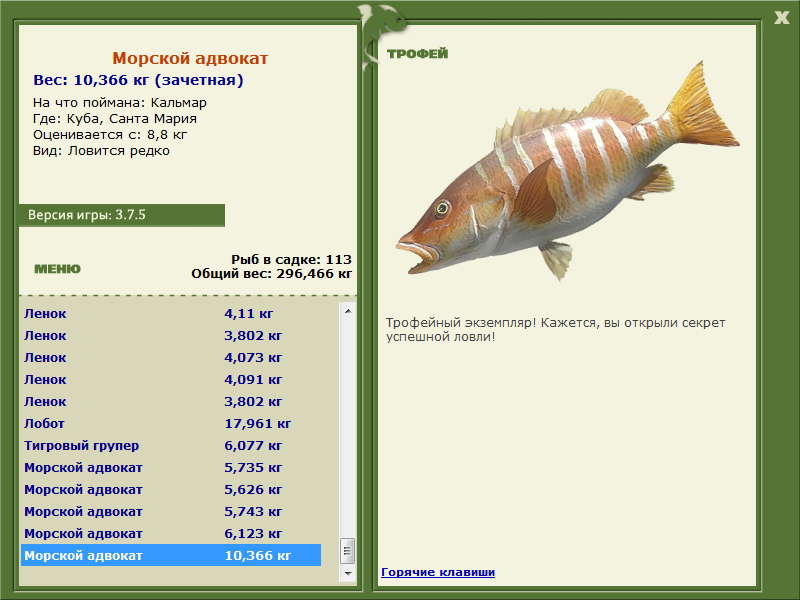 Морской адвокат 