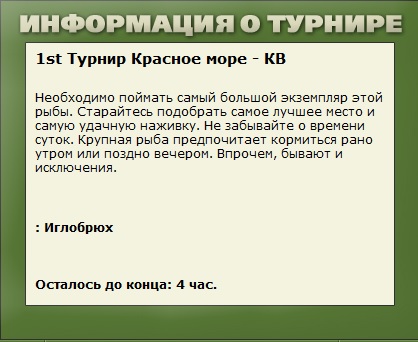 Каменный мол 