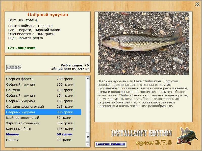 Широкий залив 