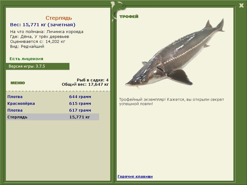 турниры • РУССКАЯ РЫБАЛКА