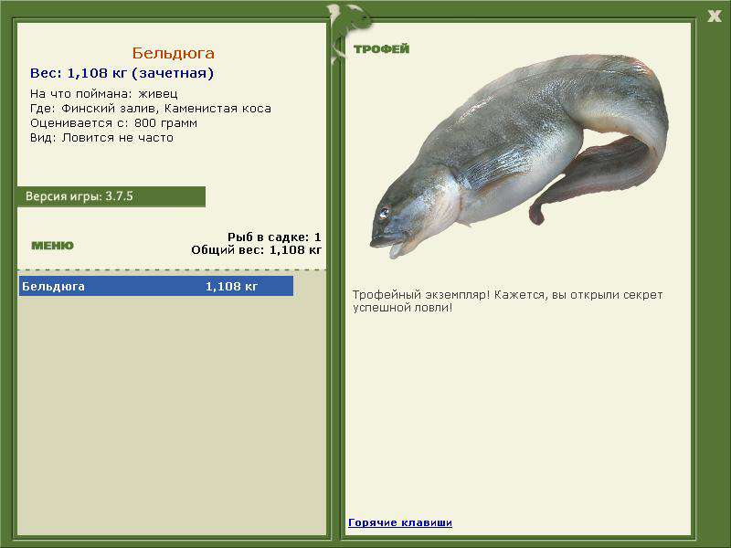 РУССКАЯ РЫБАЛКА Installsoft Edition 