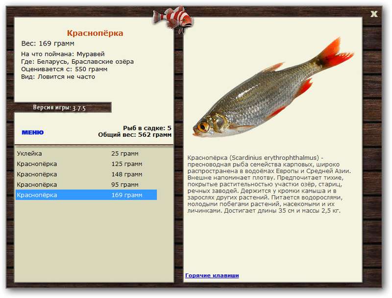 Браславские озёра 