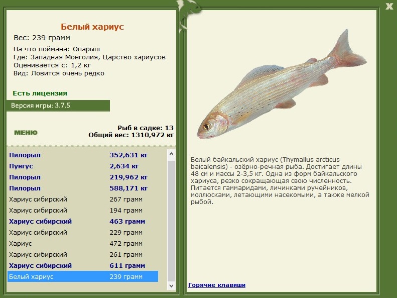 Царство хариусов 