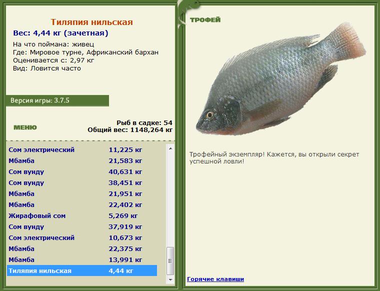 Живец 