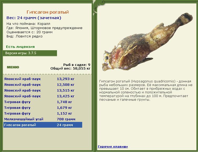 Штормовое предупреждение 