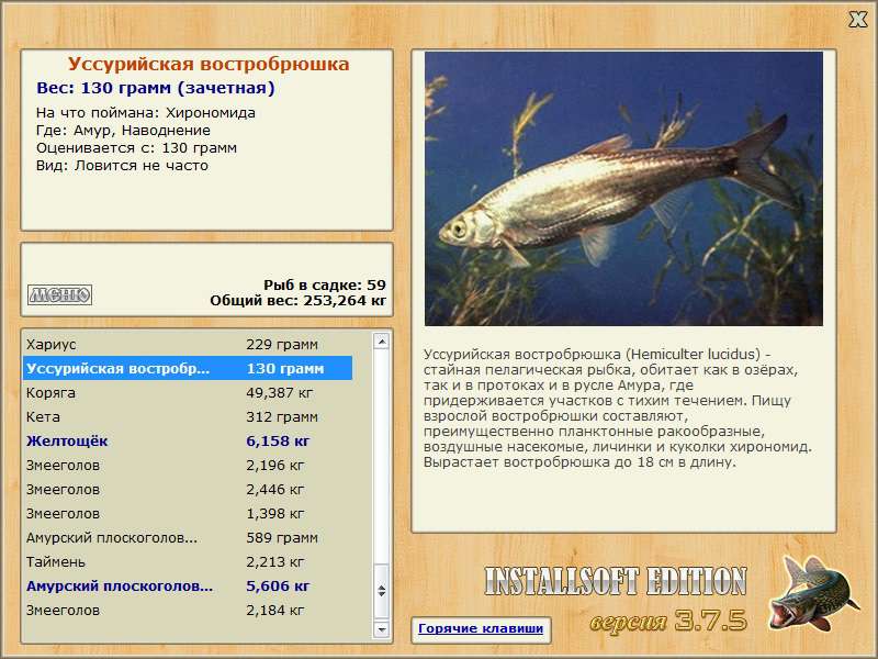 Амур 