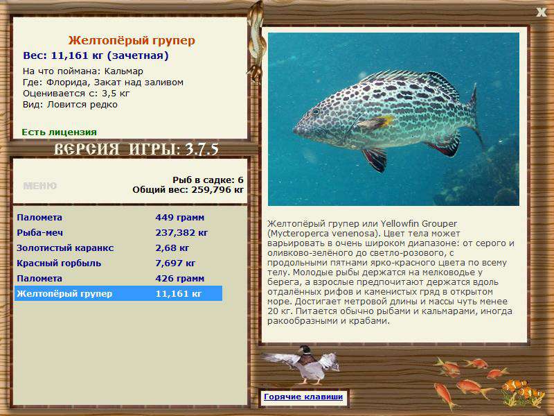 РУССКАЯ РЫБАЛКА Installsoft Edition 