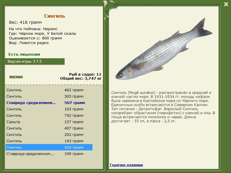У Белой скалы 