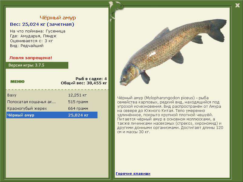 Пяндж 