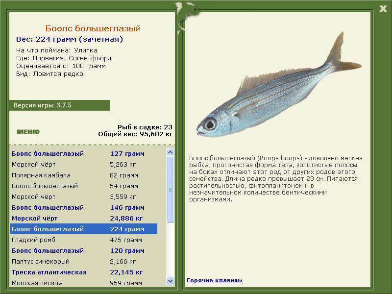 фьорд • Норвегия • РУССКАЯ РЫБАЛКА