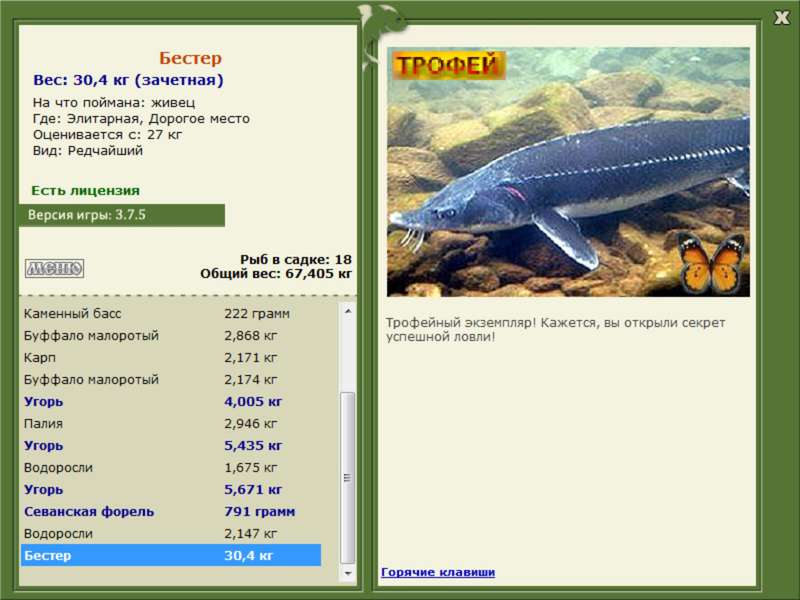 РУССКАЯ РЫБАЛКА Installsoft Edition 