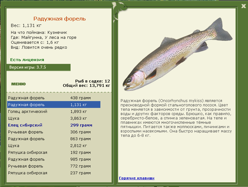 У леса на горе 