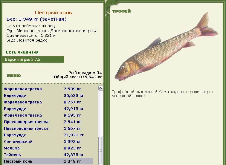 Пёстрый конь 