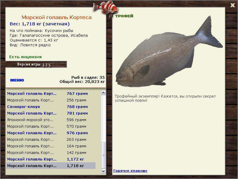 РУССКАЯ РЫБАЛКА Installsoft Edition 