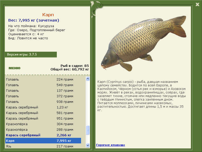 РУССКАЯ РЫБАЛКА Installsoft Edition 