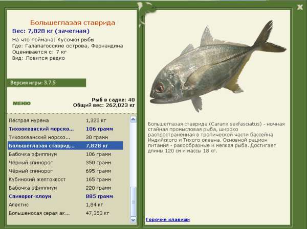 Галапагосские острова 