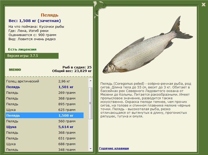 РУССКАЯ РЫБАЛКА Installsoft Edition 