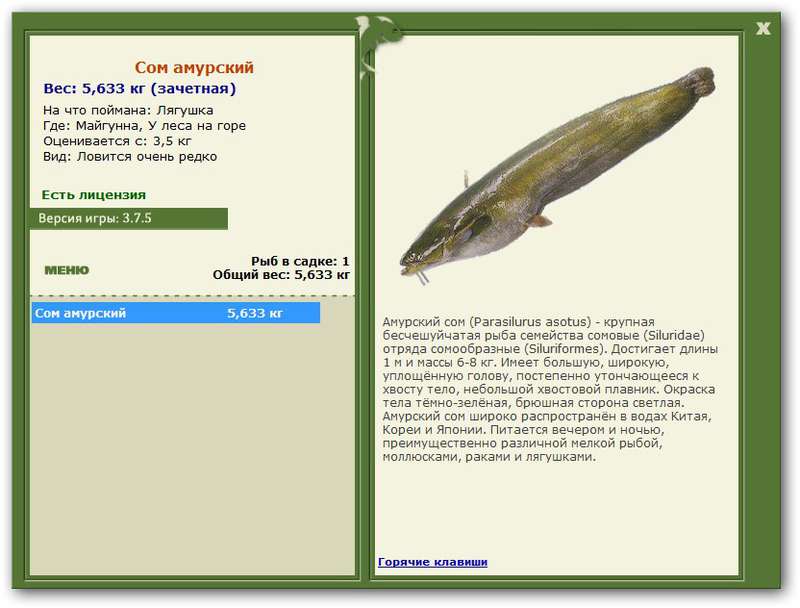 У леса на горе 