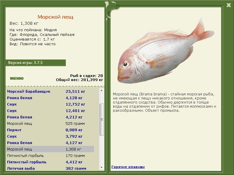 Флорида 