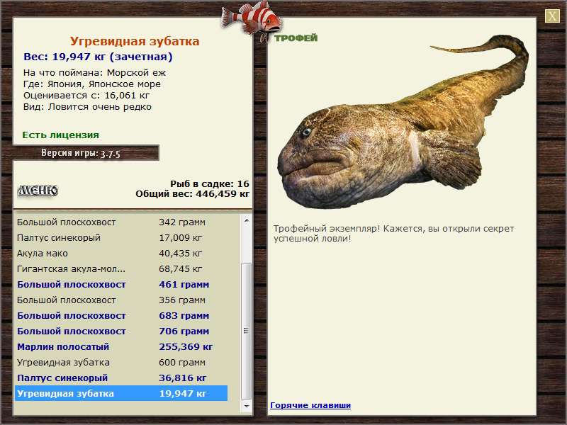 Морской ёж 