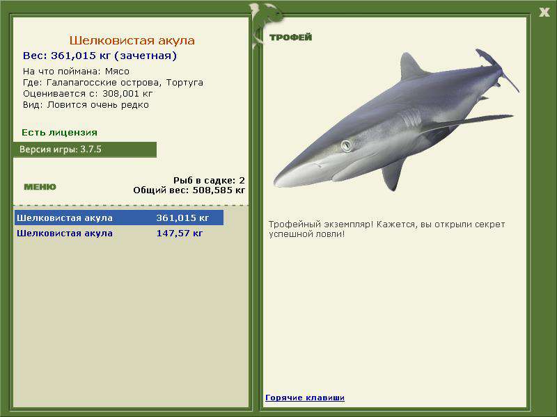 Шелковистая акула 