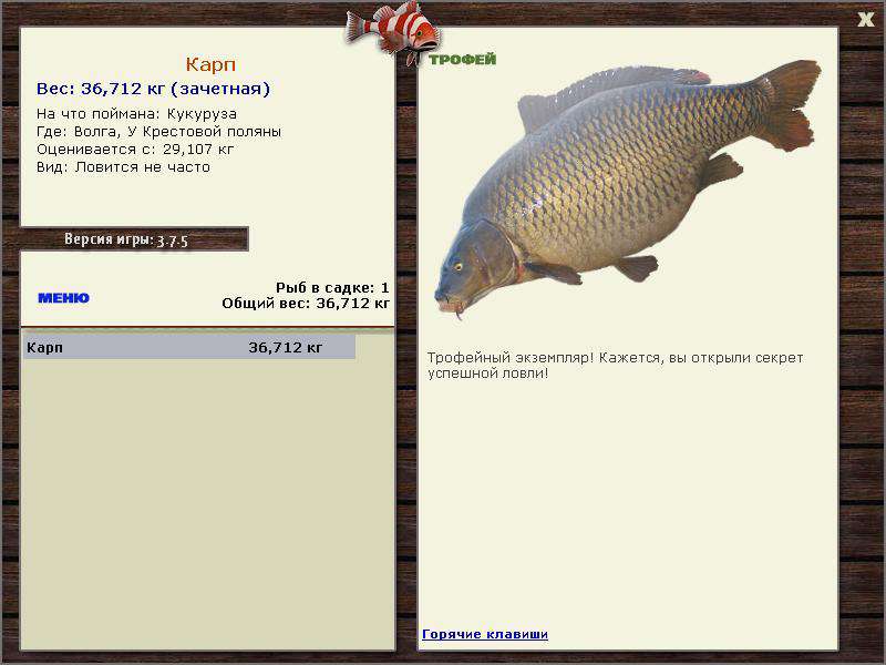 РУССКАЯ РЫБАЛКА Installsoft Edition 
