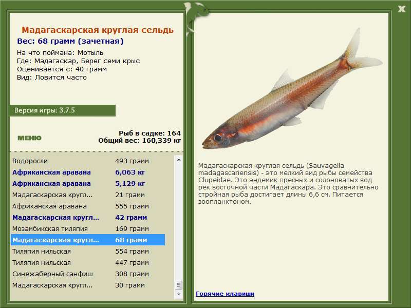 Берег семи крыс 