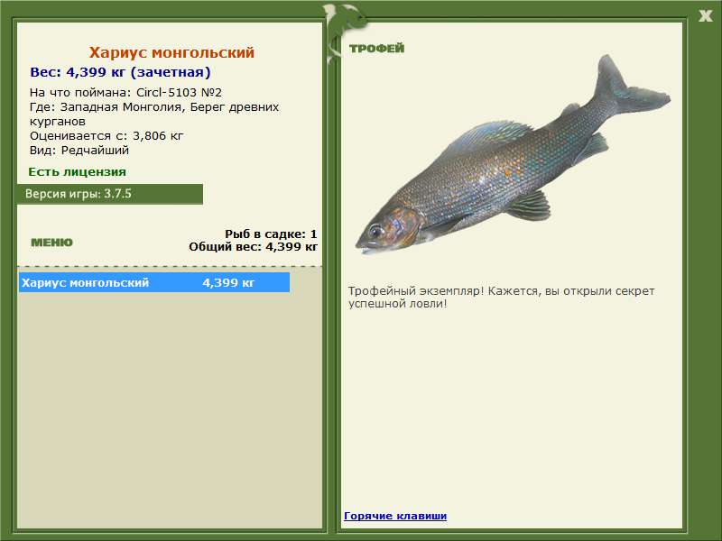 Хариус монгольский 