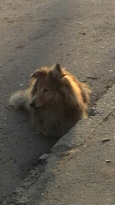  Джейме пропал