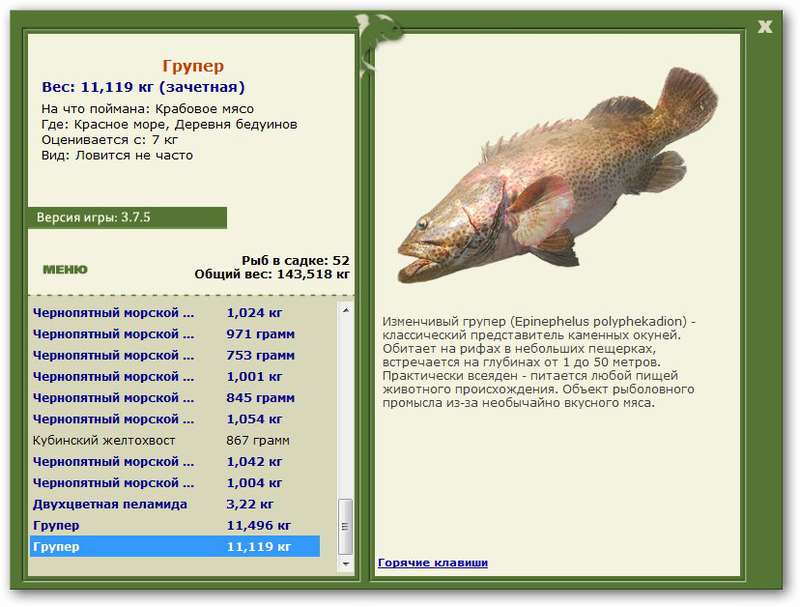 турниры • РУССКАЯ РЫБАЛКА