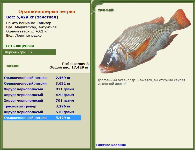 Оранжевопёрый летрин 
