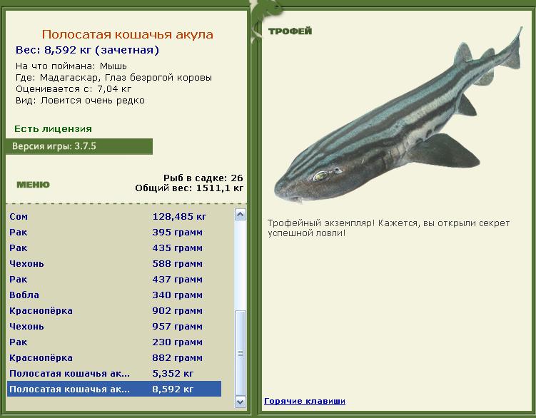 Мышь 