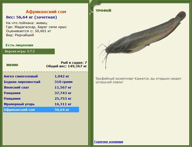 Берег семи крыс 