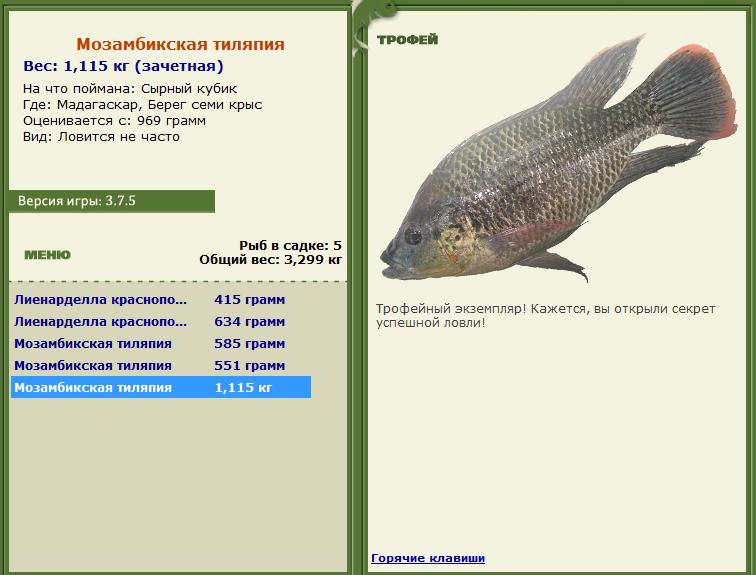 Берег семи крыс 