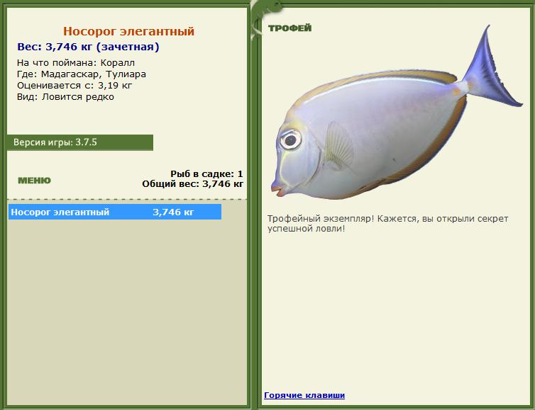 Коралл 