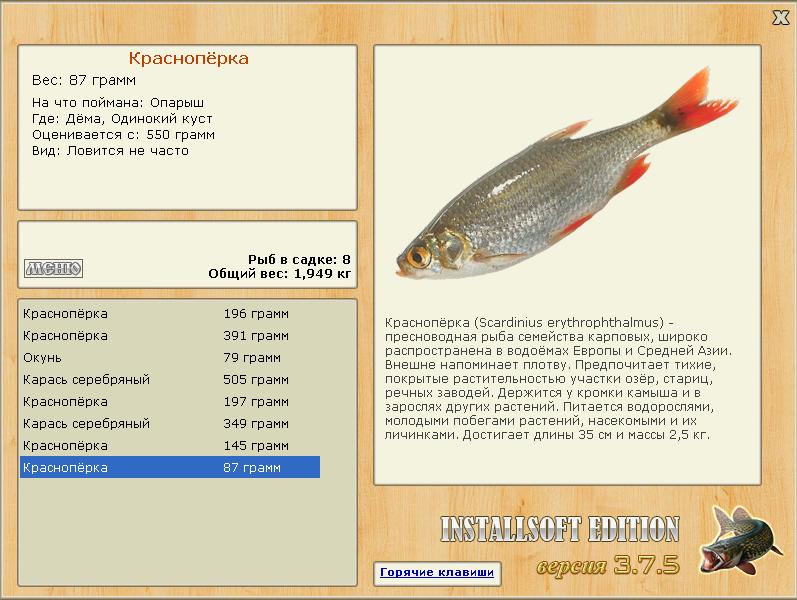 Одинокий куст 