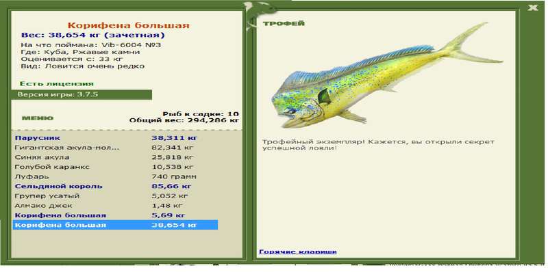 Корифена большая 