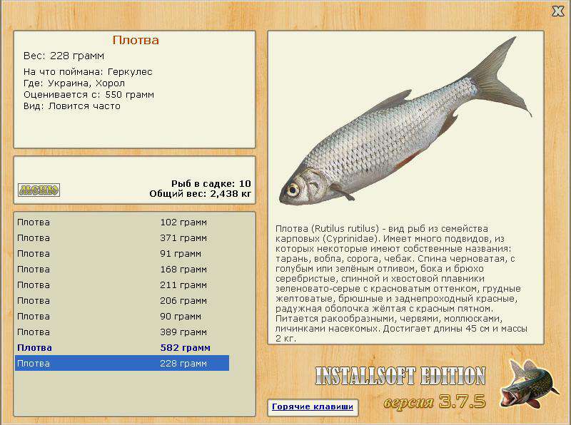 Хорол 