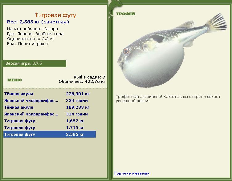 Казара 