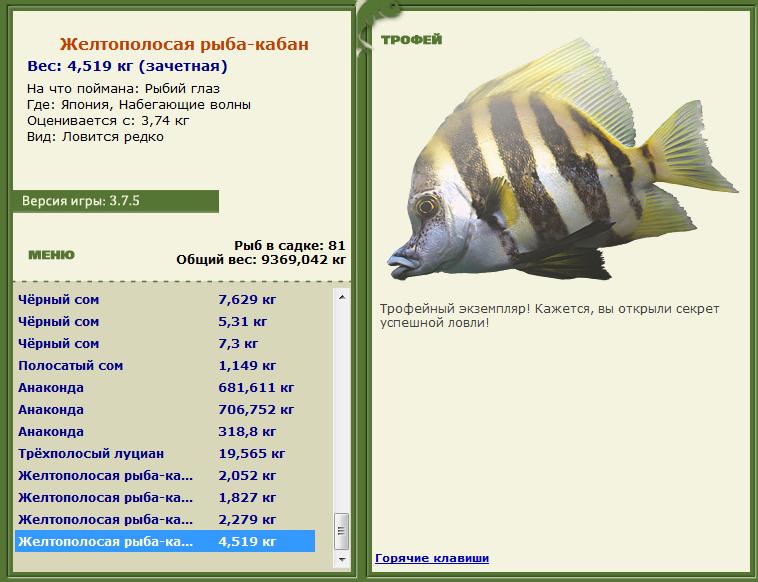 Рыбий глаз 