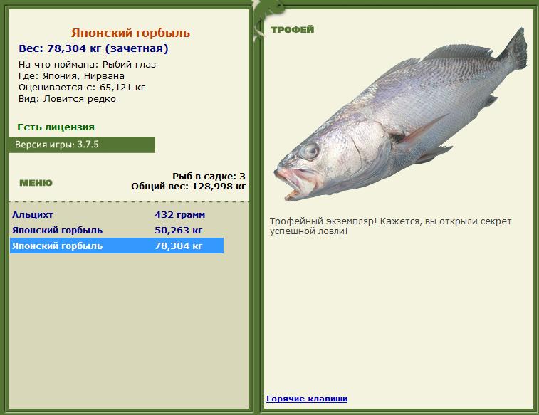 Нирвана 